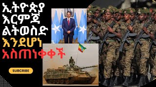 ኢትዮጵያ እርምጃ ልትወስድ እንደሆነ አስጠነቀቀች\She warned that Ethiopia is going to take action [upl. by Cranston]