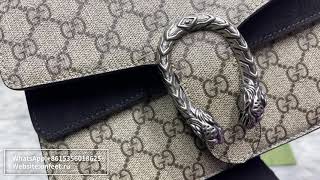 2023 GUCCI Dionysus Review [upl. by Gayleen995]