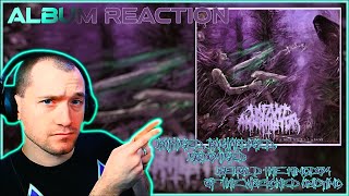 Infant Annihilator  Baptised Bastardised Sodomised  BtKotWU ALBUM REACTION Dickey is fast [upl. by Iaj]