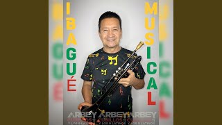 Ibagué Musical [upl. by Arondel]