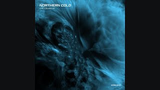 Northern Cold  Lost Colony LA MAISON Remix [upl. by Leanor]