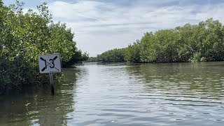 13  Kayaking Weedon Island [upl. by Ingmar]