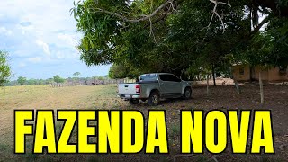 Nossa Nova Fazenda  Berro do Boi [upl. by Colfin323]