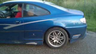 Peugeot 406 Coupe Lambo Sound [upl. by Atikal]