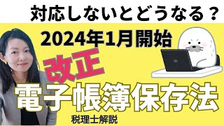 【最新】改正電子帳簿保存法！対応しない場合はどうなる？～電子帳簿保存法の概要と対応しない場合のリスクについて5分で解説～ [upl. by Othello253]