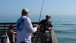 Flagler Beach Fishing Pier [upl. by Eneirda364]