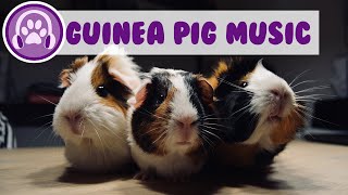 3 Hour Music Video for Guinea Pigs  Natural Stress and Anxiety Relief [upl. by Lefkowitz]