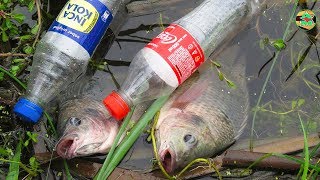 INCREÍBLES CAPTURAS PECES TILAPIAS CON BOTELLA PLÁSTICO  Pesca con Lombriz de Tierra [upl. by Cherian]