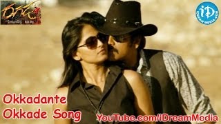 Ragada Movie Songs  Okkadante Okkade Song  Nagarjuna  Anushka Shetty  Priyamani [upl. by Haggerty]