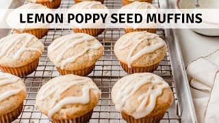 Moist Delicious Muffins Made With Your Sourdough Discard [upl. by Argella908]