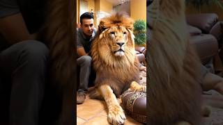 Trusted Housekeeper shorts animals lion [upl. by Anesor]