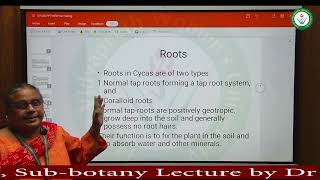 Topic Cycas Subject botany Lecture by Dr Anupama Goyal FEM [upl. by Acyssej]