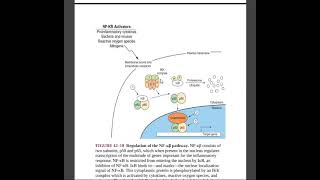 NfKb Pathway Clinical Significance of dexamethazone Inflammation  Cytokines Glucocorticoid Role [upl. by Rebbecca]