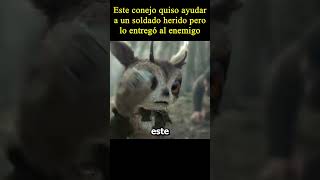 😱Este conejo quiso ayudar a un soldado herido pero moviemovie peliculas [upl. by Eskill505]