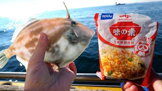 味の素で釣りしたらめっちゃ釣れた【ENG SUB】 [upl. by Atelokin]