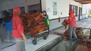 Amazing Indonesian Natural Rubber Processing  Indonesian Rubber Farm [upl. by Kallista642]