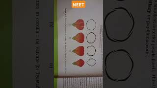 MORPHOLOGY OF FLOWERING PLANTS aestivation types corollaValvateTwisted ImbricateVexil neet [upl. by Buff]