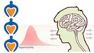 ADHD  What is it and whats the difference with ADD [upl. by Niassuh82]