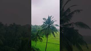 Prakriti yethra manoharamanu 🌳🌴🌱🌴🌷🌸🌹🌺🌻🌼🌾🌾🌾🌾🌿🌿Mazhayude bhangi athi manoharam⛈️🌧️🌧️ [upl. by Langelo]