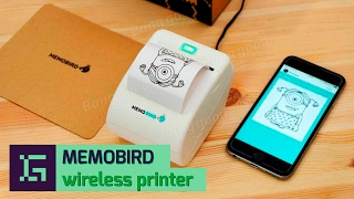 InsGadge MEMOBIRD printer [upl. by Naik47]