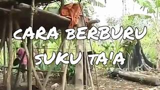 Berburu Pakai Sumpit ala Suku Taa [upl. by Elreath]