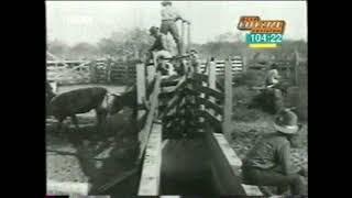 Cattle Ranchers and Homesteaders on the American West [upl. by Glori]