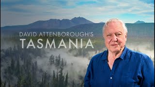 David Attenboroughs  Tasmania  Weird and Wonderful [upl. by Atikan120]