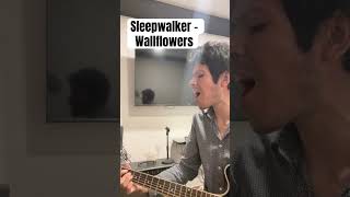 Sleepwalker – The Wallflowers cover thewallflowers sleepwalker jakobdylan [upl. by Anilam]