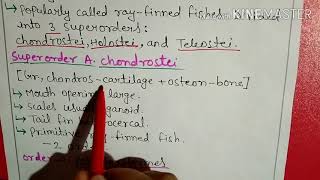 Class osteichthyes classification in Hindi2 [upl. by Elyak]