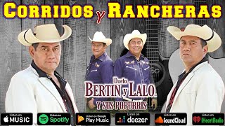 Dueto Bertin y Lalo 14 Sus Mejores Ã‰xitos  Corridos y Rancheras [upl. by Eatnahc859]