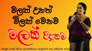 වලක් උනත් විලක් වෙනවා මලක් පිපුනම  Ama Diasanayake [upl. by Westhead]