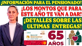 🤑🔴¿CUALES SON LOS MONTOS QUE SERÁN ENTREGADOS EN ESTE FINAL DE AÑO PARA LOS PENSIONADOS🤑🔴 [upl. by Nnairek406]