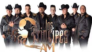 ALACRANES MUSICAL  EXITOS MIX PARA BAILAR  MIX DURANGUENSE [upl. by Olney]