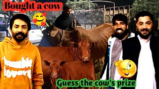 New gaye 🐮 kharid li Iski price guess karain 🤔 [upl. by Aalst]