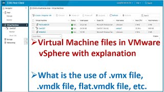 VMware Virtual Machine files  What is the use of vmx file  vmdk file and flatvmdk file [upl. by Yecart517]