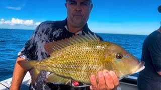 CALOUNDRA WIDE FISHING GENTLMANS HOURS  Start late leave early [upl. by Noami]