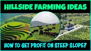 Farming on Steep Slope Hillsides  Agriculture on Mountains  Terrace Farming [upl. by Feeney739]