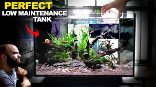 ALL IN ONE Peninsula Kit Aquarium Easy amp Stunning Setup [upl. by Kristen]