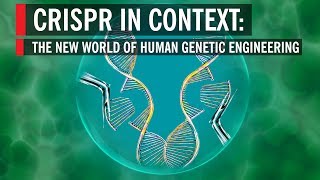 CRISPR in Context The New World of Human Genetic Engineering [upl. by Yeliw303]