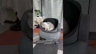 Automatic litter box 🐈CatProducts catcatlitterbox Petproducts couple neakasa Raisecats [upl. by Errehs775]