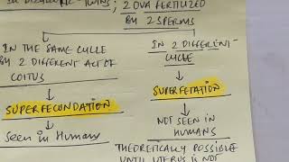 SUPERFETATION VS FECUNDATION [upl. by Harwell]