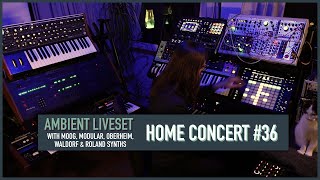 Home Concert 36 Ambient  Sequencer session [upl. by Ongun]