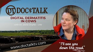 DocTalk Ep 195  Digital Dermatitis in Cows [upl. by Yoong922]