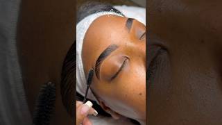 Brow Lamination Tutorial esthetician eyebrows trending sobrancelhas browlamination brows [upl. by Aicetal]