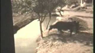 Mediterranean Cruise 1976  MTS JASON  Egypt amp Greek Islands PART 12 [upl. by Brott]