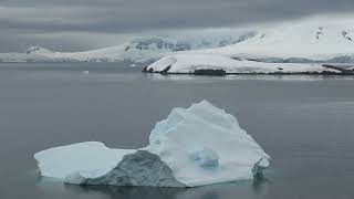 ANTARCTICA PENINSULA Day One  DALLMANN BAY and PARADISE HARBOUR February 24 2024 [upl. by Rochkind]