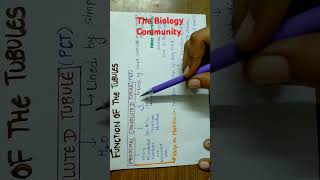 FUNCTION OF THE TUBULES PART1excretoryproductsamptheireliminationclass11biologyneetcbseshortsyt [upl. by Wallach]