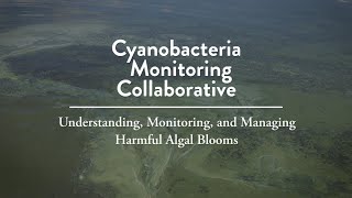 Cyanobacteria Monitoring Collaborative – Understanding Monitoring and Managing Harmful Algal Blooms [upl. by Corinna889]