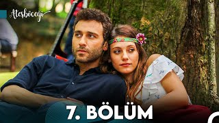 Ateşböceği 7Bölüm FULL HD [upl. by Vincent808]