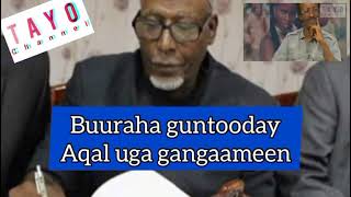 Cabdi Aadan Xaad Qays Geedi BaabuuQoraal iyo Muuqaal Lyrics and VideoTayo Channel [upl. by Haimorej]